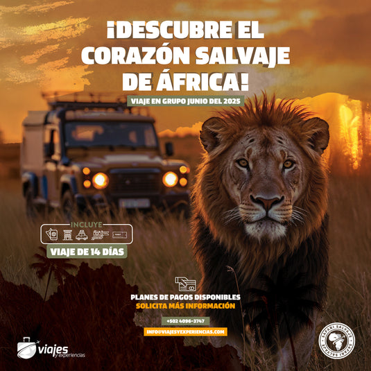 Paquete Safari Salvaje África 2025